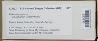 Image Associated With the Occurence